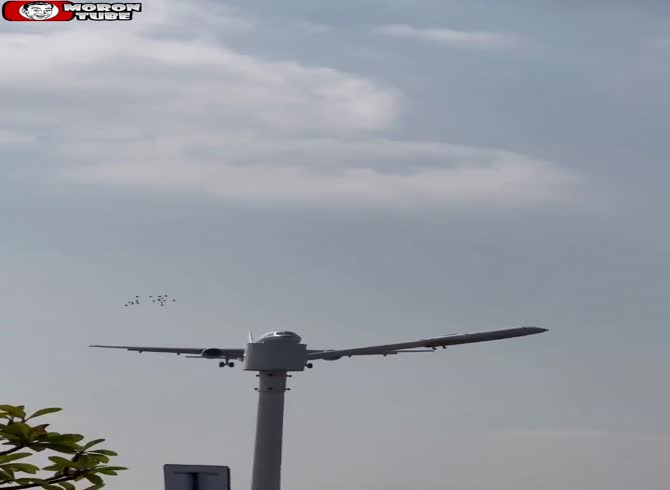 Video :China's Airbus destroys a flock of birds